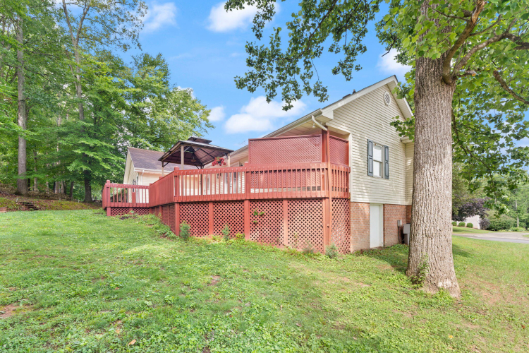 Listing Image 62