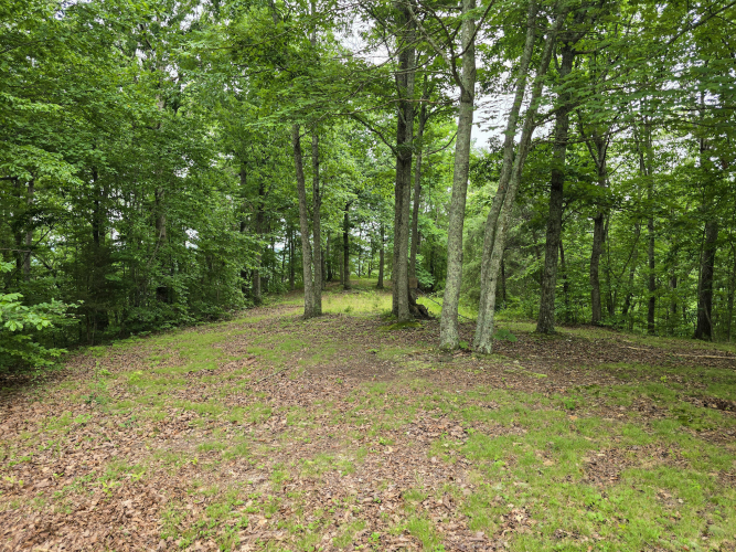 Listing Image 47