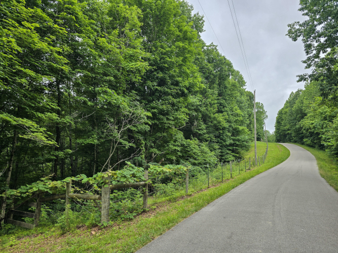 Listing Image 70