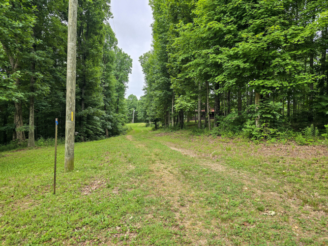 Listing Image 72