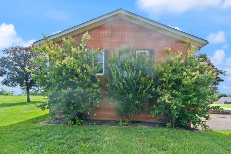Listing Image 102