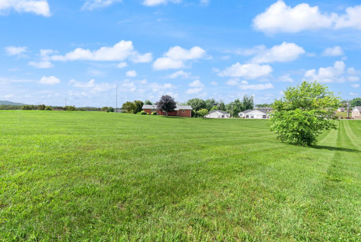Listing Image 99