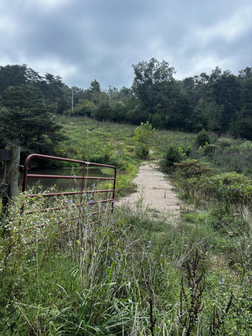 Listing Image 27