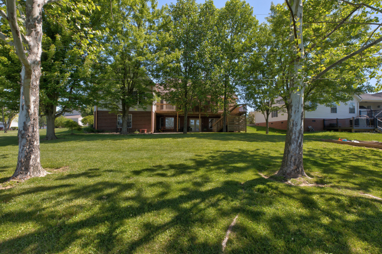 Listing Image 49
