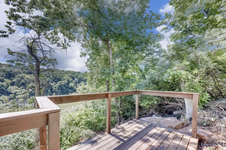 Listing Image 64