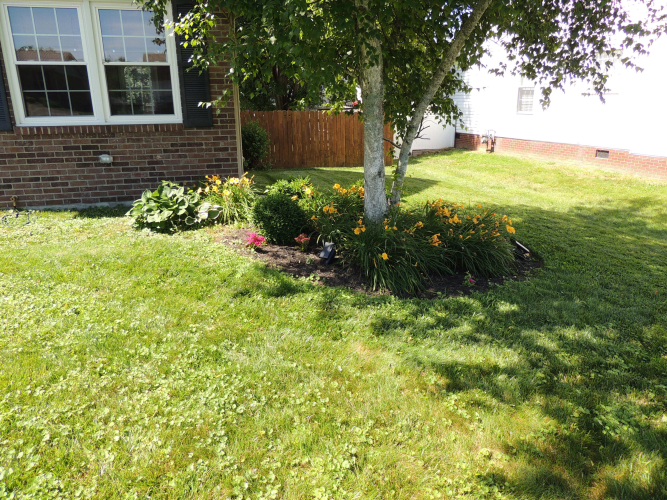 Listing Image 44