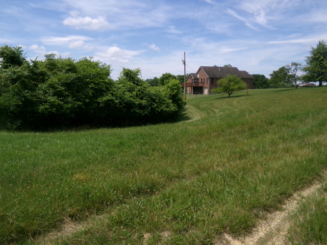 Listing Image 62