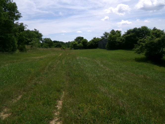 Listing Image 63