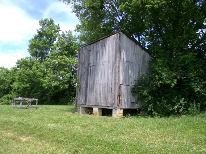 Listing Image 65