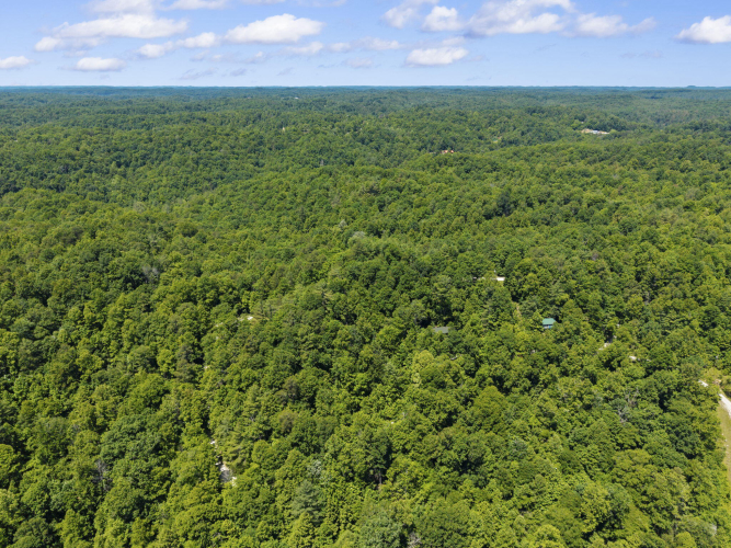 Listing Image 18