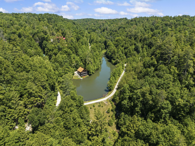 Listing Image 19