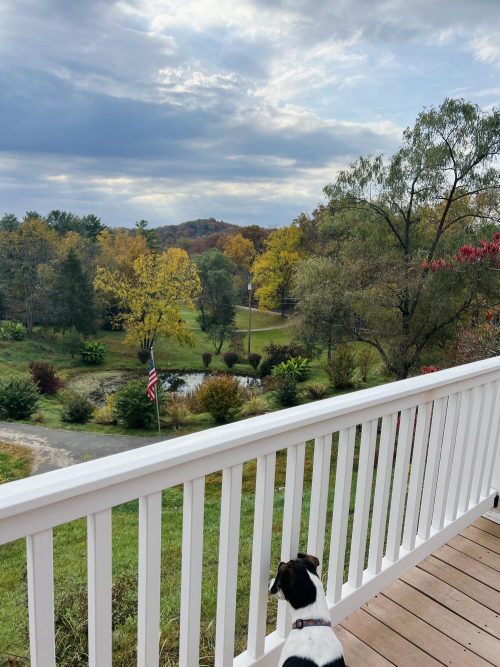 Listing Image 54