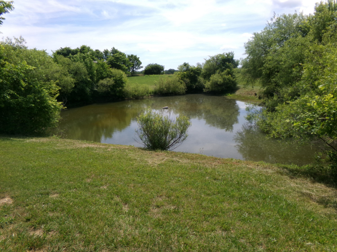 Listing Image 55