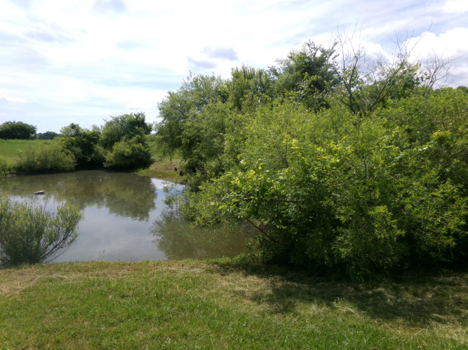 Listing Image 56