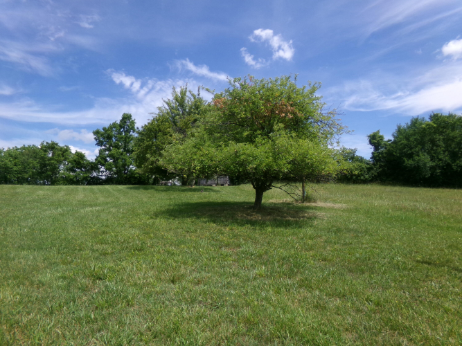 Listing Image 57