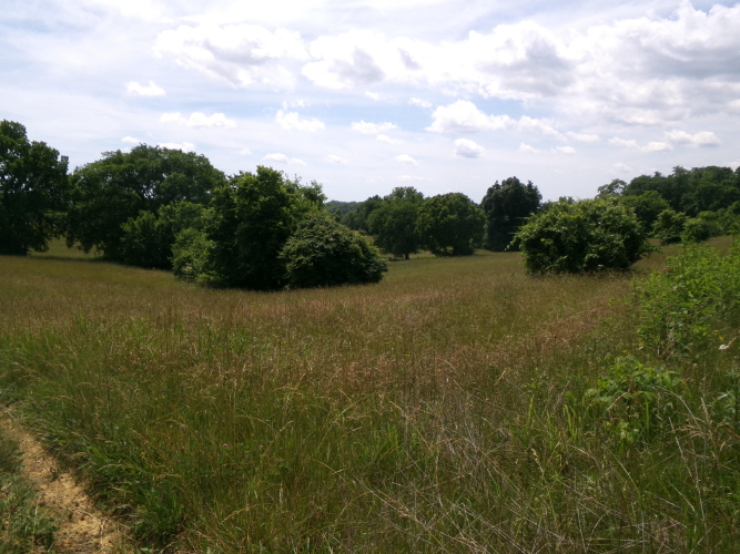 Listing Image 59