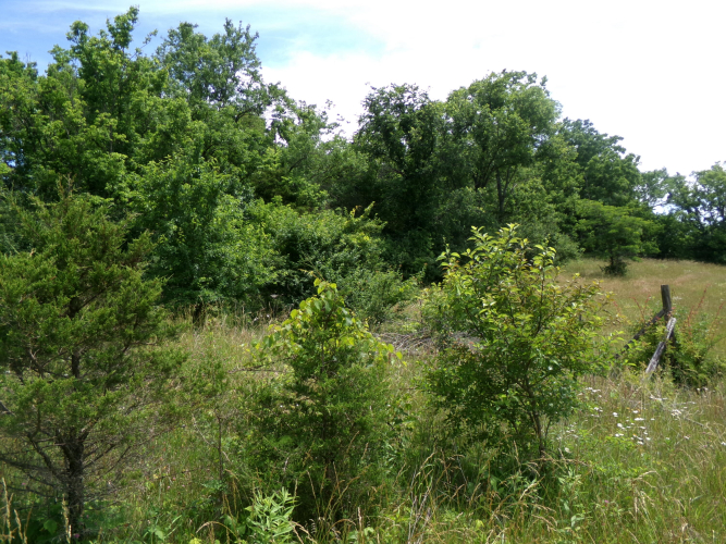Listing Image 61