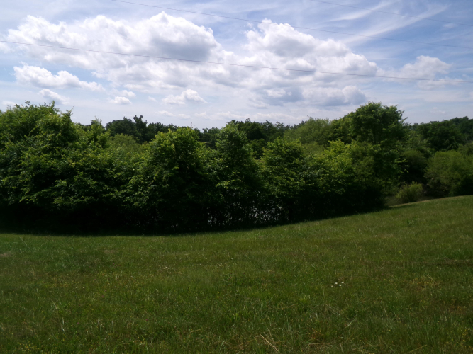 Listing Image 64