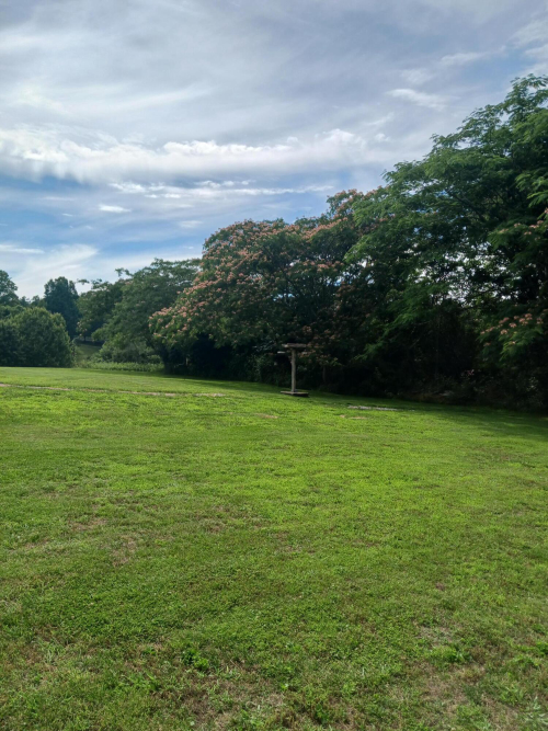 Listing Image 25