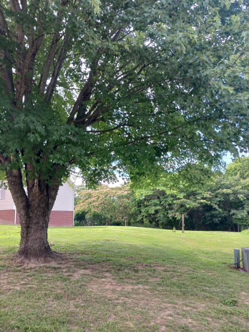 Listing Image 27