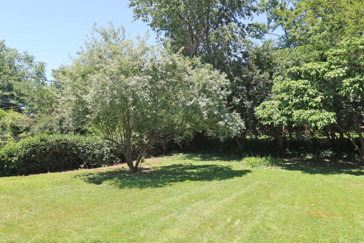 Listing Image 27