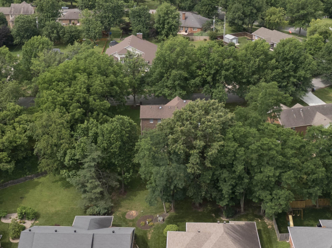 Listing Image 58