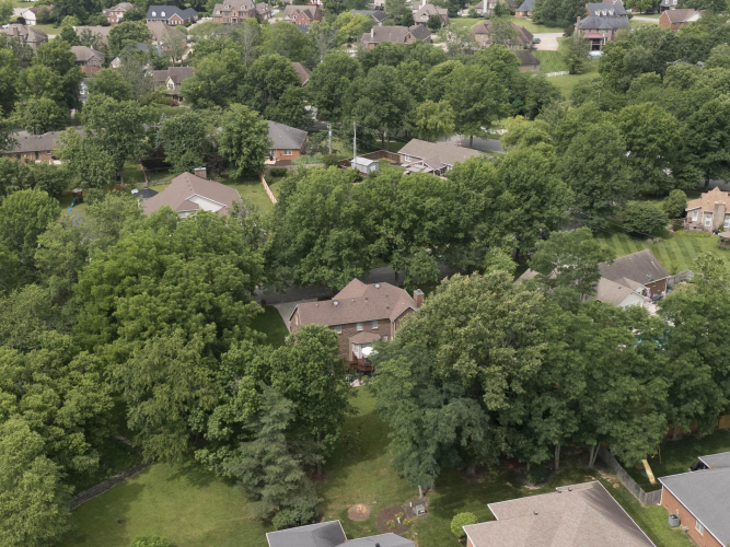 Listing Image 59