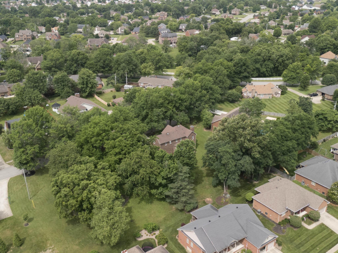 Listing Image 60