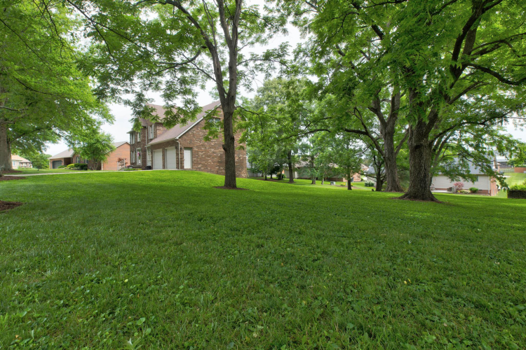 Listing Image 63