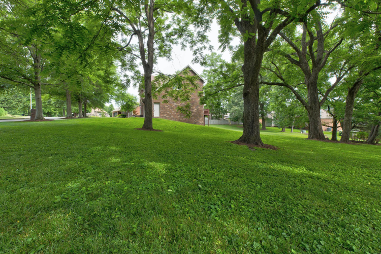 Listing Image 64