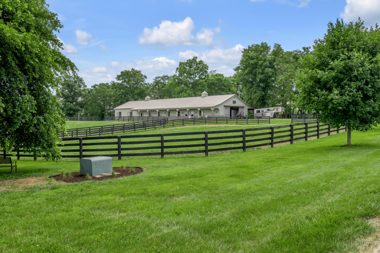 Listing Image 111