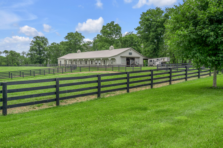 Listing Image 118
