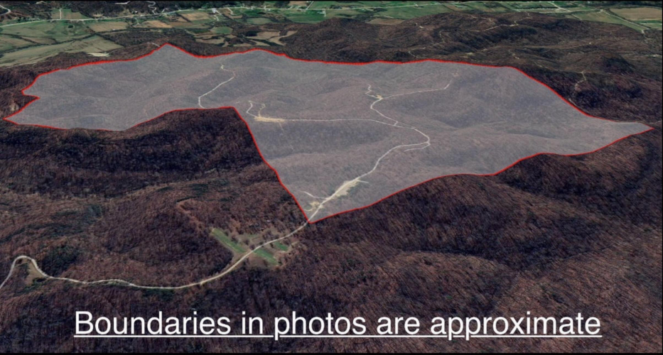 Listing Image 13