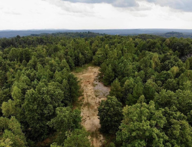 Listing Image 10