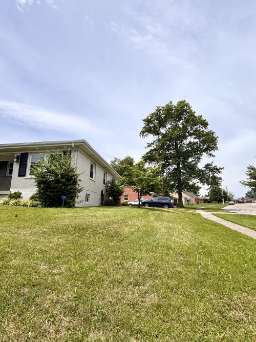 Listing Image 54