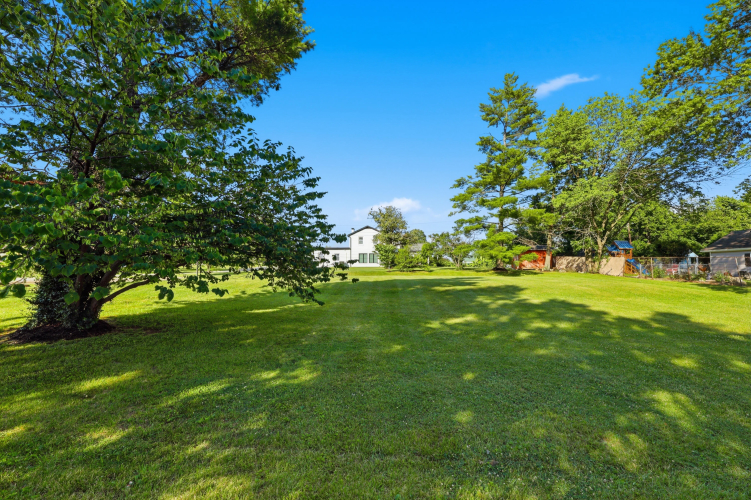 Listing Image 159