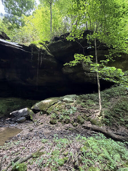 Listing Image 17