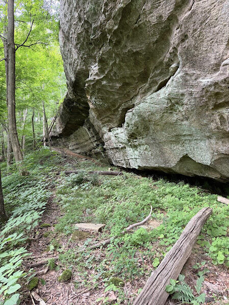 Listing Image 23