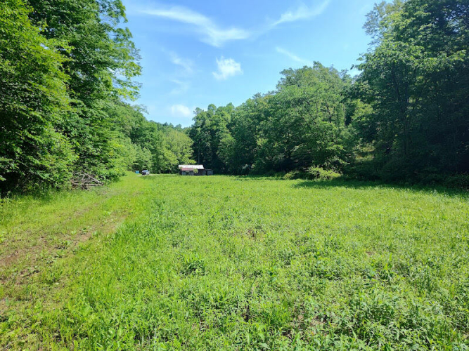 Listing Image 8