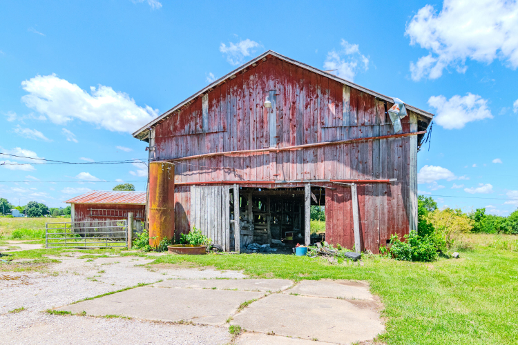 Listing Image 7