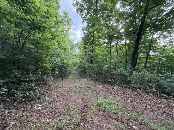 Listing Image 17