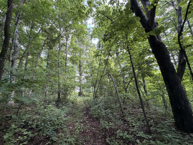 Listing Image 21