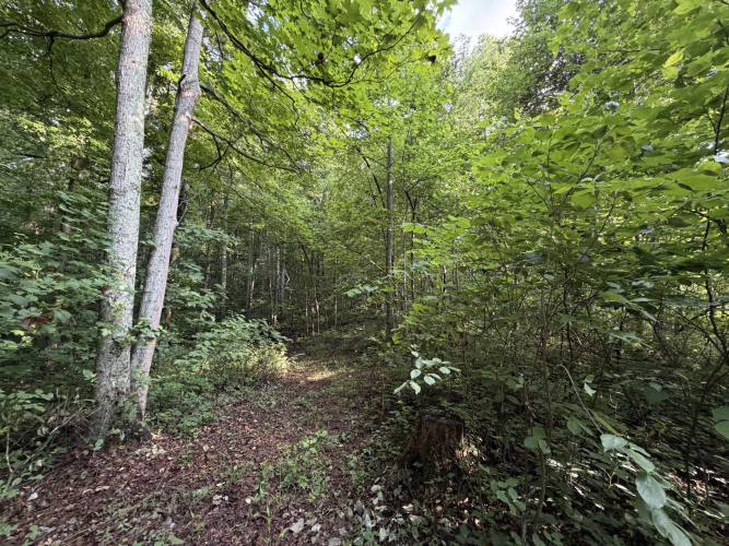Listing Image 23