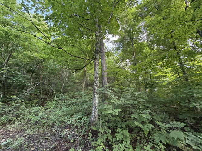 Listing Image 24