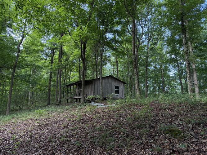 Listing Image 27