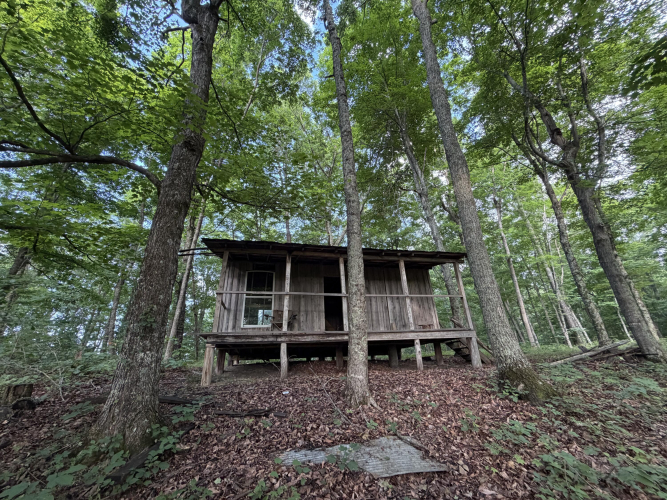 Listing Image 8