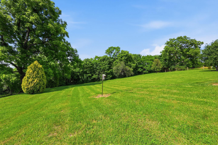 Listing Image 68