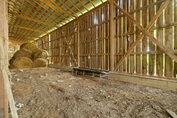 Listing Image 21