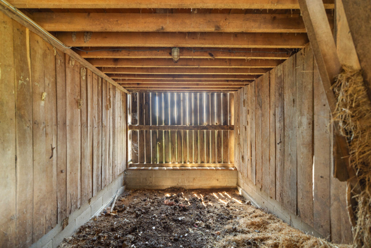 Listing Image 22