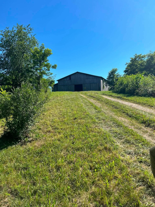 Listing Image 28